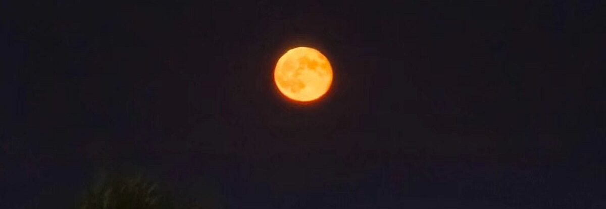 luna-4-e1767379918868.jpg - NewsFactor