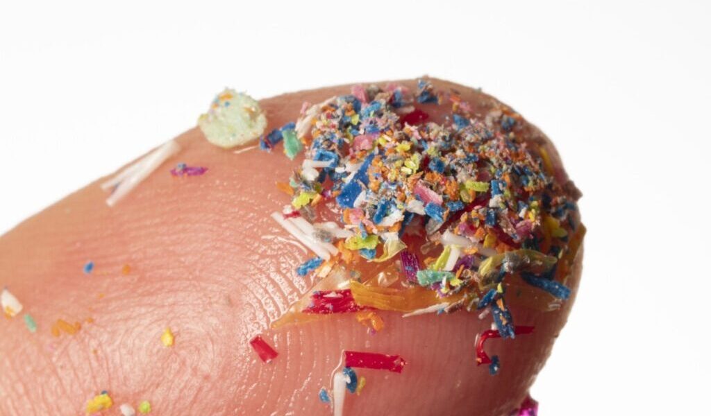 microplastice-e1724489538371.jpg - NewsFactor