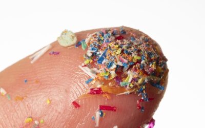 microplastice-e1724489538371.jpg - NewsFactor