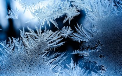 osman-rana-LSUuu25azuM-unsplash.jpg - NewsFactor