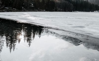 pexels-eberhard-grossgasteiger-2086267.jpg - NewsFactor