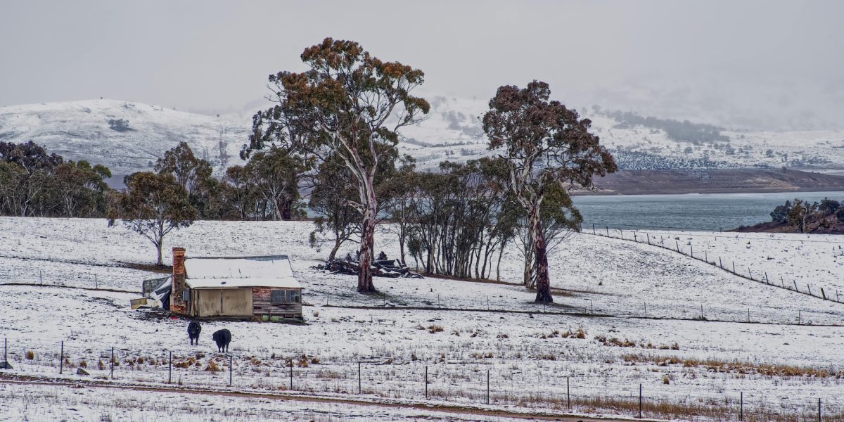 pexels-mark-thomas-2149938474-30979871.jpg - NewsFactor