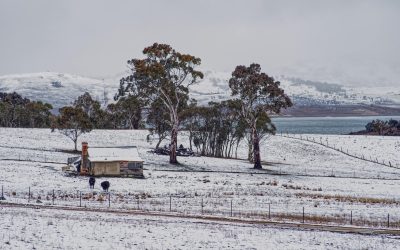 pexels-mark-thomas-2149938474-30979871.jpg - NewsFactor