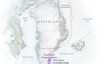 polarbears_greenland_map_2022_lrg.jpg - NewsFactor