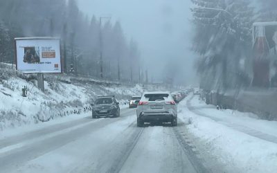 poza-art.jpeg - NewsFactor