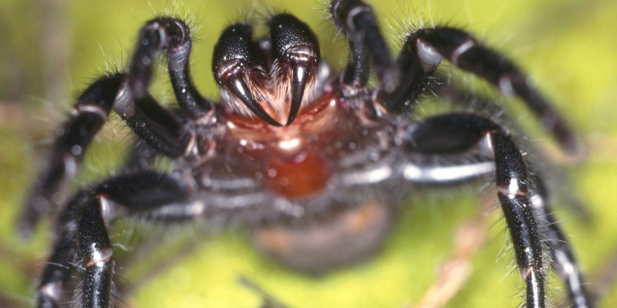 profimedia-0156398475.jpg - NewsFactor