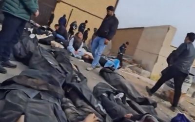 profimedia-1065950410.jpg - NewsFactor