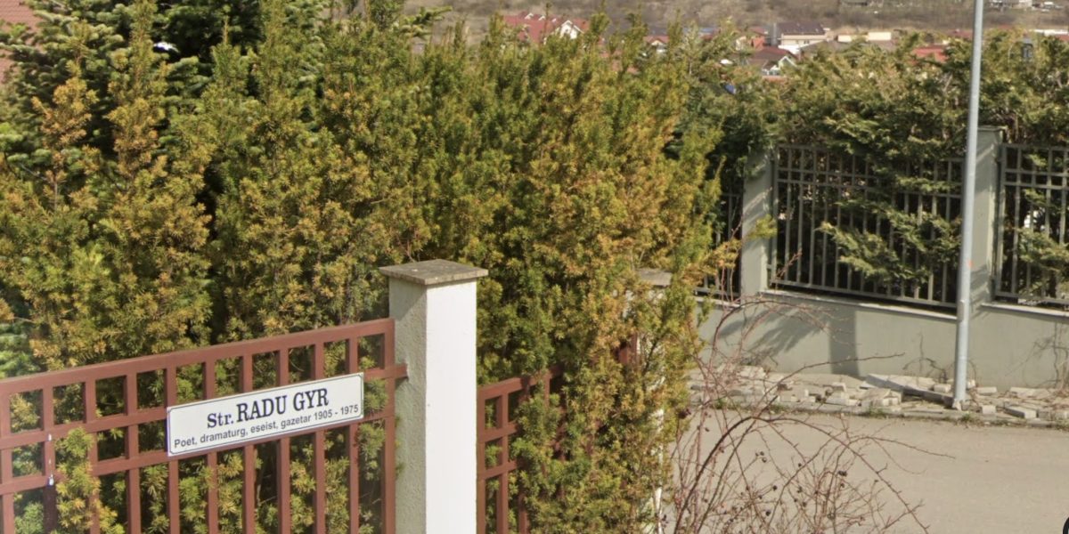 strada-radu-gyr.jpg - NewsFactor