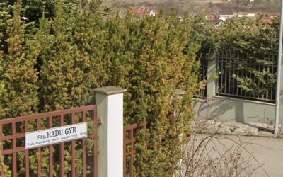 strada-radu-gyr.jpg - NewsFactor