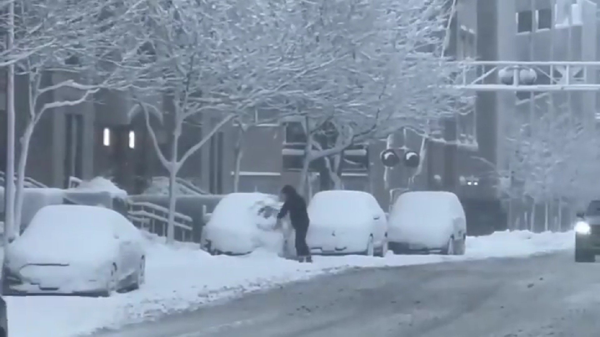 Milioane de americani se pregătesc pentru o furtună hibernală masivă, una dintre cele mai mari care a lovit Statele Unite în ultimii ani