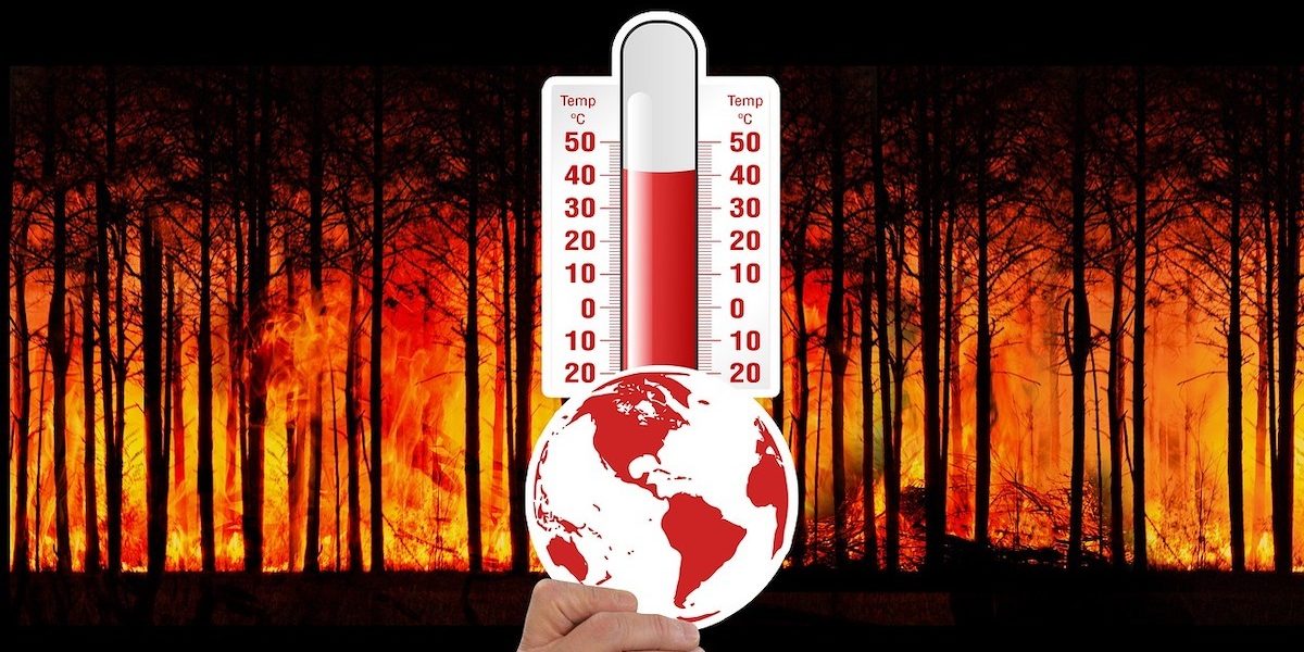 temperatura-canicula-caldura.jpeg - NewsFactor