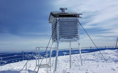 toaca.jpeg - NewsFactor