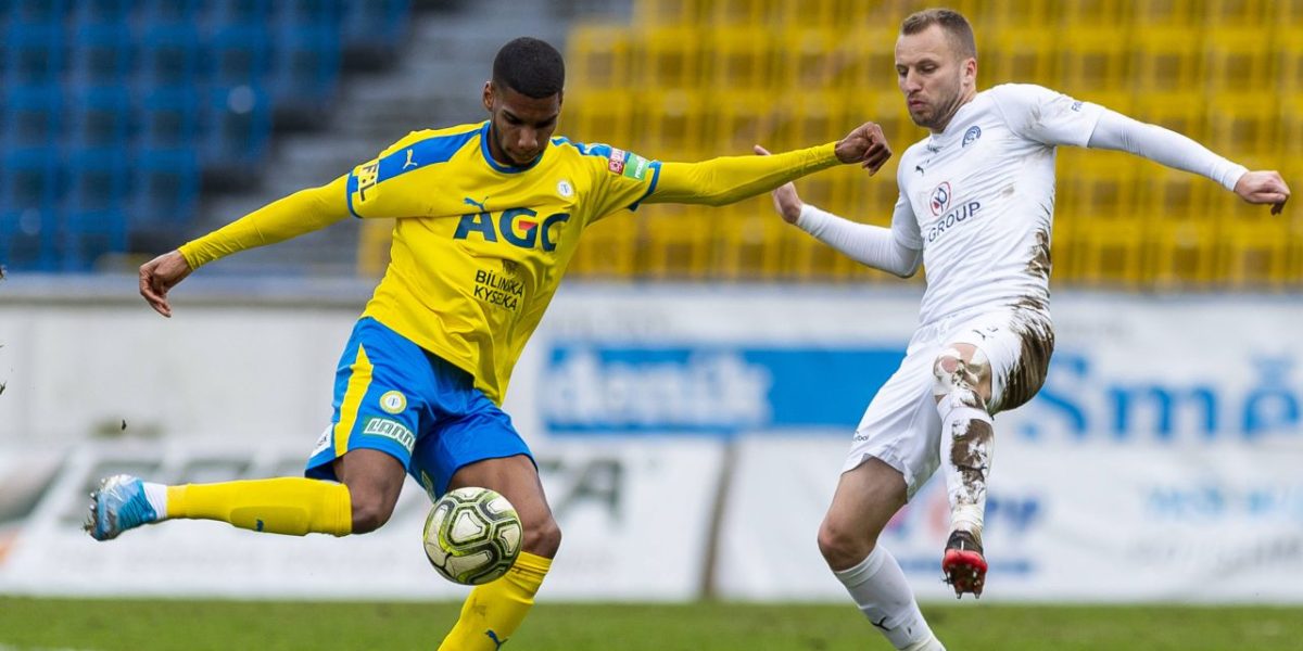 toutou-imago47014849.jpg - NewsFactor