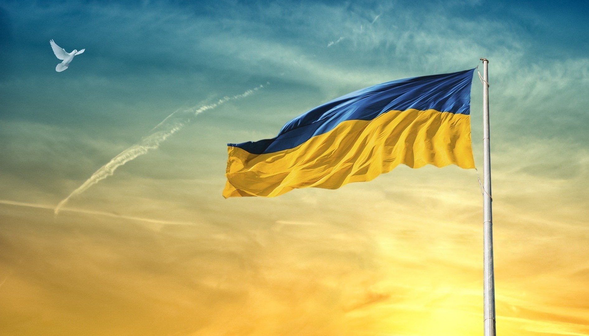 România, omisă de Ucraina de pe lista statelor pentru care se poate obține cetățenia duală, un gest care a stârnit reacții dure în spațiul politic de la București
