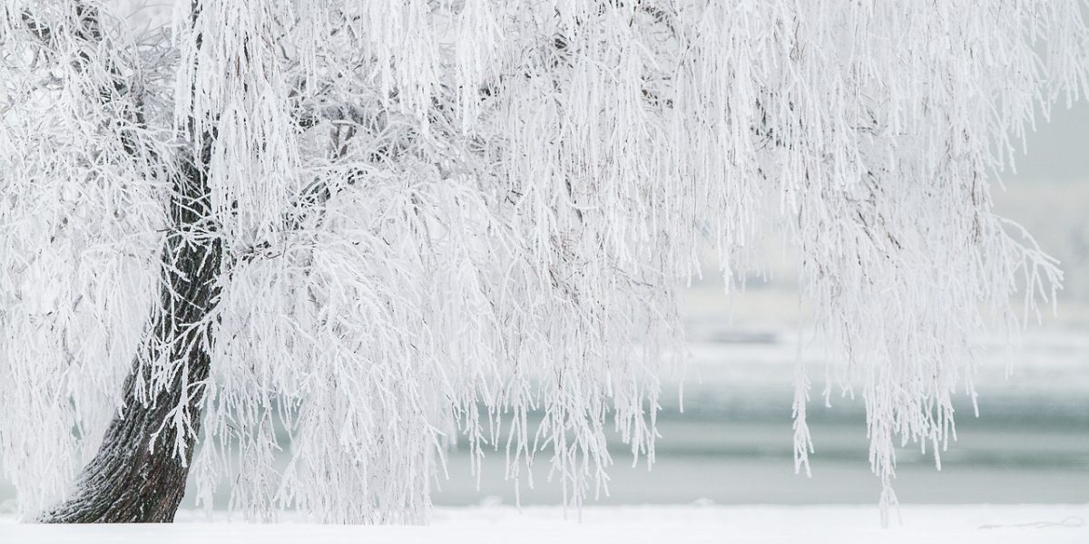 winter-1367153_1280.jpg - NewsFactor