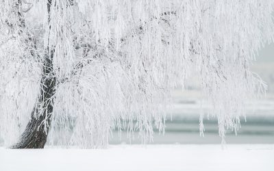 winter-1367153_1280.jpg - NewsFactor