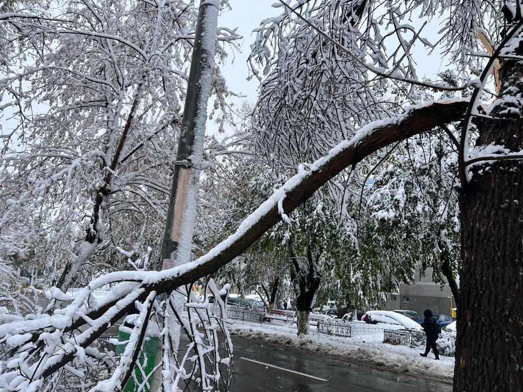 Ninsorile taie curentul în Hunedoara și Timiș
