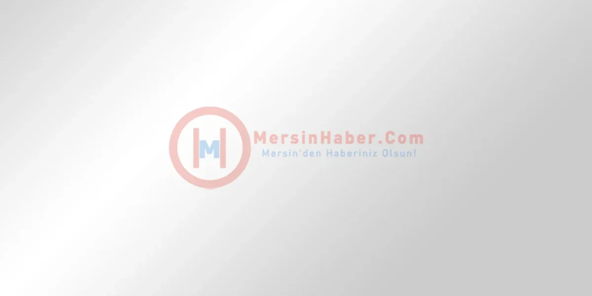 537532.webp.webp - NewsFactor