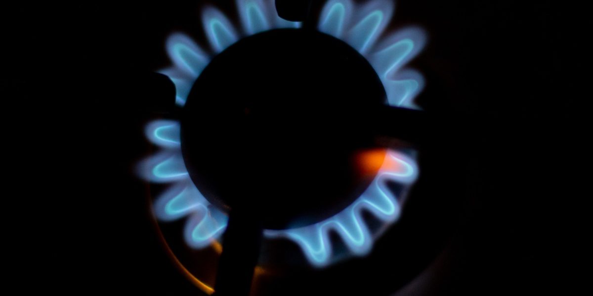 82003c33-ec60-4449-9f50-49bc4fdab088.jpg - NewsFactor