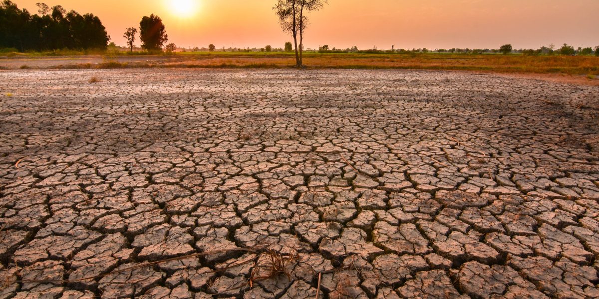 Semnal de alarmă climatic: apariția fenomenului El Nino în Pacific ar putea transforma 2027 în „cel mai cald an înregistrat vreodată”