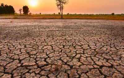 Semnal de alarmă climatic: apariția fenomenului El Nino în Pacific ar putea transforma 2027 în „cel mai cald an înregistrat vreodată”