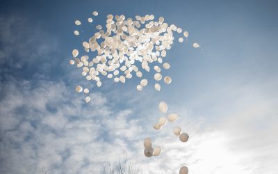 FB1A1660.jpg - NewsFactor