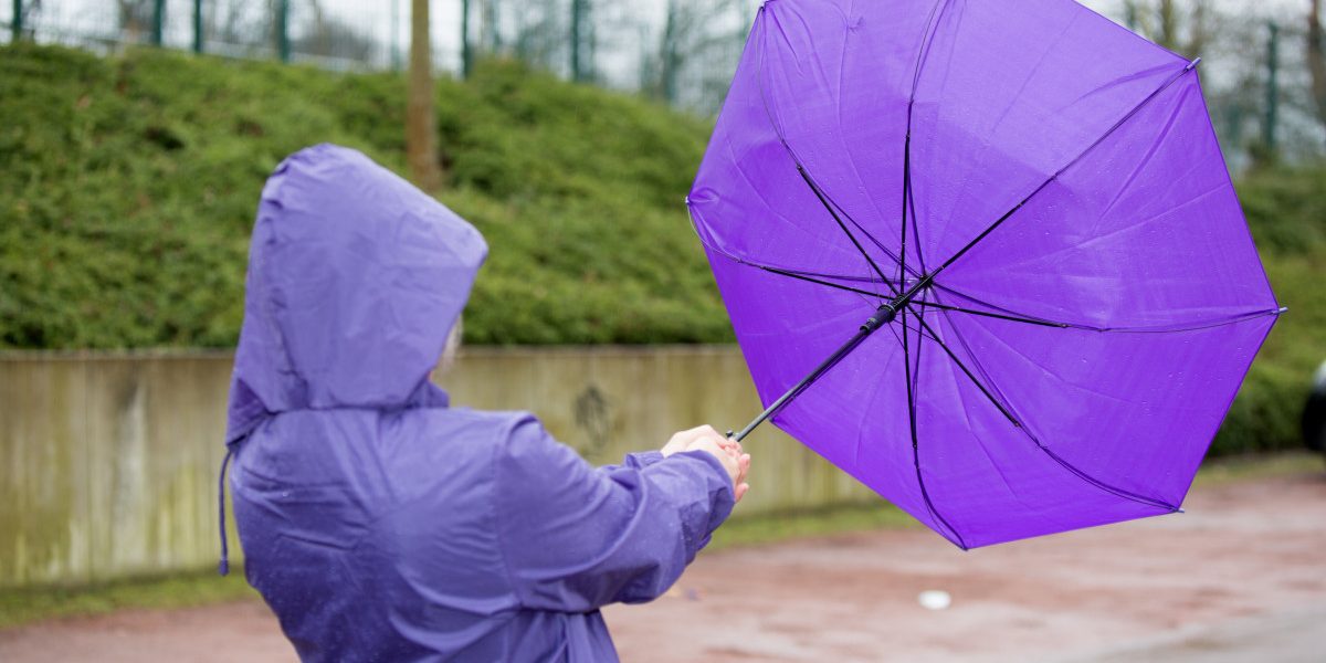 Jmhhc2g9OWZjNzdiMzExNWJhMjcyMzNhZGNmYmFmMWZkOWJhZDk.thumb_.jpg - NewsFactor