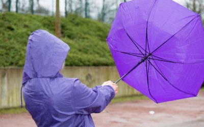 Jmhhc2g9OWZjNzdiMzExNWJhMjcyMzNhZGNmYmFmMWZkOWJhZDk.thumb_.jpg - NewsFactor