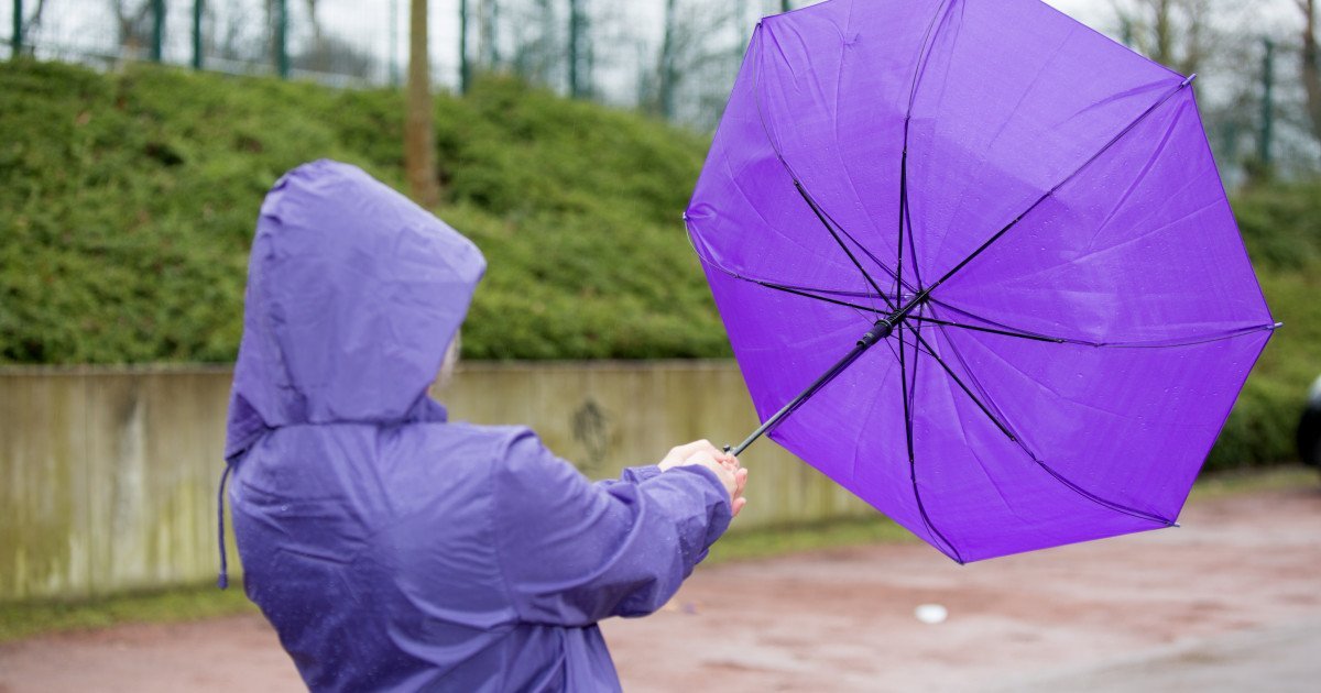 Avertizare meteo: Cinci județe, sub risc de vânt puternic!