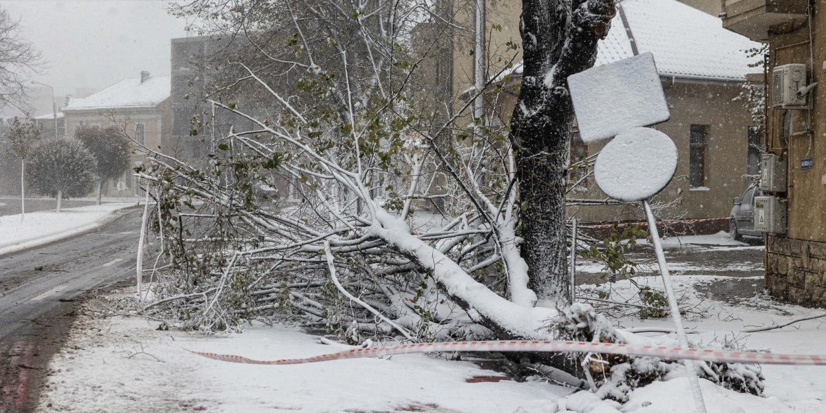 NjMwJnpjPTEmaGFzaD1hNjI2ZDU0Y2I4ZjJlOGIxODlhMzU5ZDQ0ZWFjOGZlZg.thumb_.jpg - NewsFactor