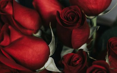 North Carolinians have lost millions in romance scams. What FBI, BBB warn ahead of Valentines Day :: WRAL.com