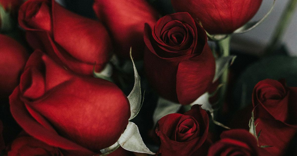 Prevenția Securității Financiare de Valentine’s Day: FBI Atragă Atenția asupra Înșelătoriilor Romantice În ultimele câteva luni, sute de locuitori din Carolina de Nord au pierdut milioane de dolari în înșelătorii romantice și de încredere