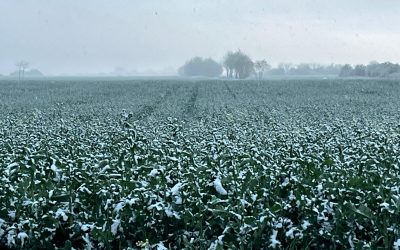 WhatsApp-Image-2025-04-07-at-19.45.18.jpeg - NewsFactor