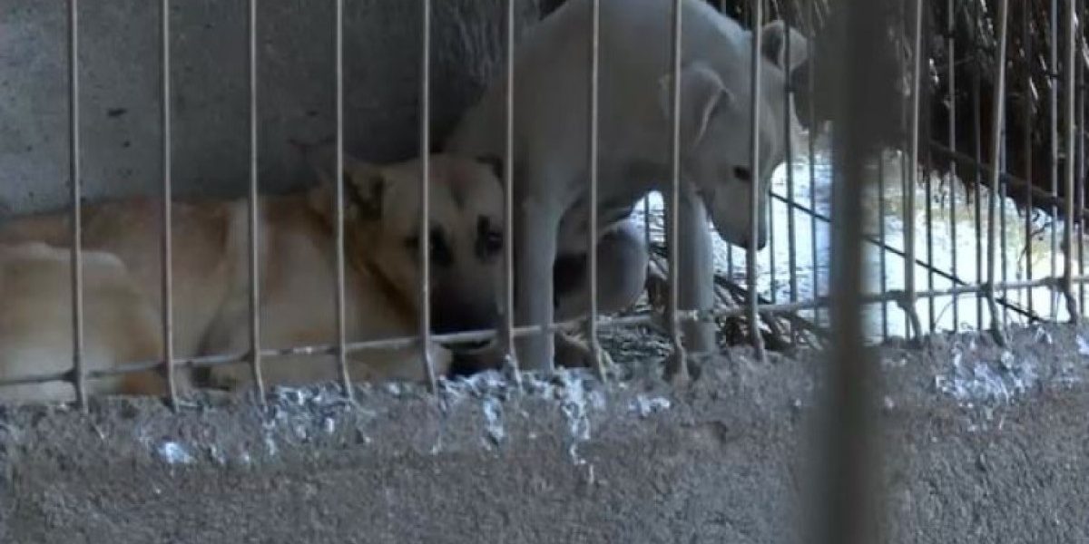 YTBiZDlmNjFjOGNkZjE2ZTU4ZTEzNDQxNWM4NGE3ZGE.thumb_.jpg - NewsFactor