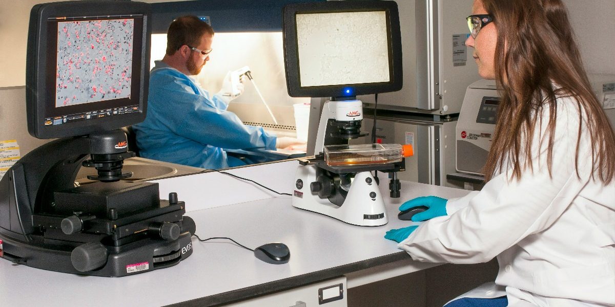 cancer-control-doctor-analiza-spital-doctori-medicina.jpg - NewsFactor