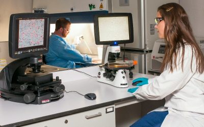 cancer-control-doctor-analiza-spital-doctori-medicina.jpg - NewsFactor