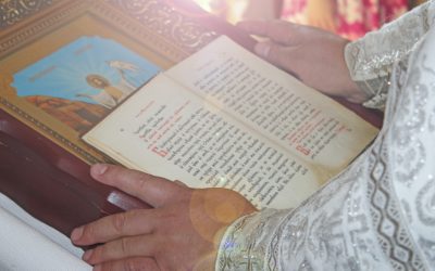 emM9MSZoYXNoPTMzM2E3YmQ3MTcxNDU1Yjk3NWExOTIwZTc3OGNhZmVm.thumb_.jpg - NewsFactor