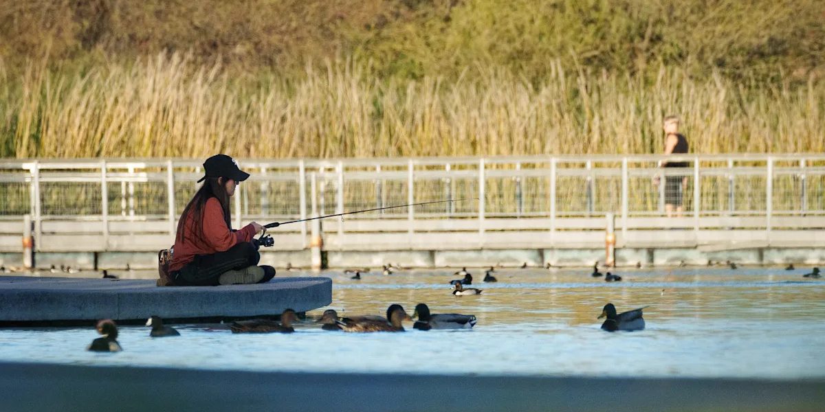 fd086366e326bf76d87ca7252ba1e3fb.jpeg - NewsFactor