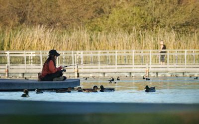 fd086366e326bf76d87ca7252ba1e3fb.jpeg - NewsFactor