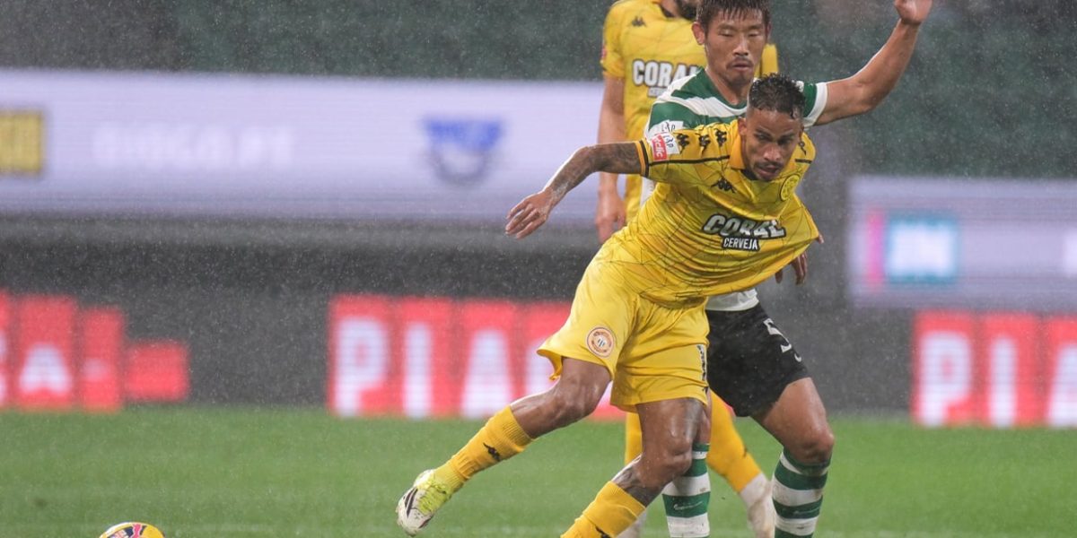 imgS620I1042461T20260201220927.jpg - NewsFactor