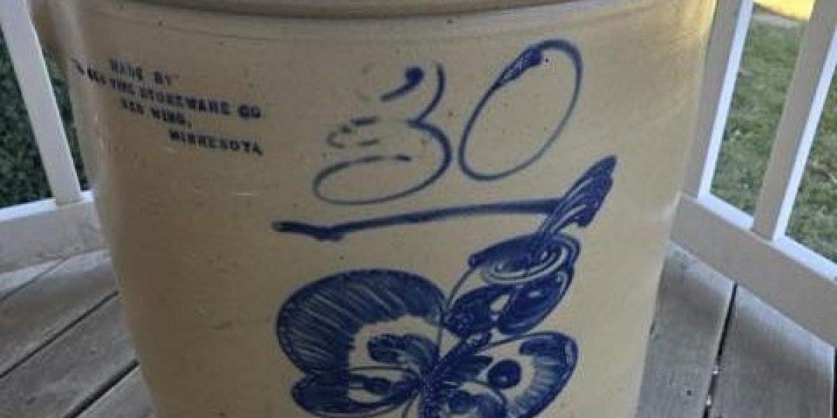 o-femeie-planuia-sa-vanda-vasul-vechi-abandonat-in-curtea-casei-cu-20-de-dolari-licitatia-a-explodat.webp - NewsFactor