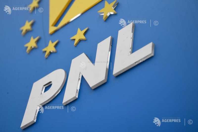 Pnll l-a nominalizat pe rectorul dimian la educație
