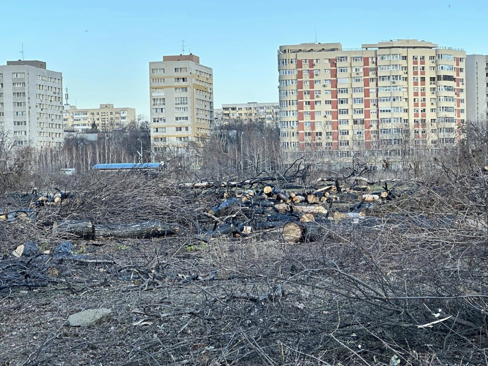 Ciprian Ciucu, primarul Capitalei, a răspuns vineri solicitărilor formulate de consilierii municipali AUR, care condiționează participarea la ședințele Consiliului General al Municipiului București (CGMB) de îndeplinirea unor cerințe specifice