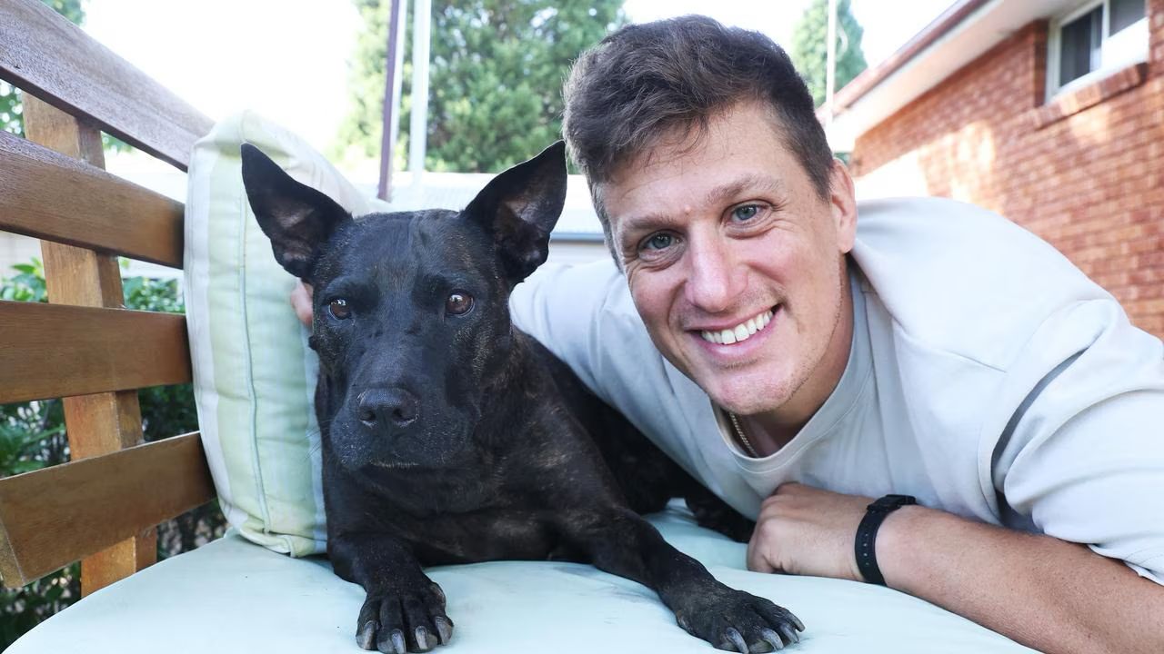 Antreprenor folosește inteligența artificială pentru a trata cancerul la un câine, deschizând un nou capitol în medicina personalizată Paul Conyngham, un antreprenor din Sydney cu o vastă experiență în domeniul machine learning și al analizei datelor, a reușit să obțină rezultate promițătoare în tratarea cancerului la un câine, utilizând inteligența artificială și tehnologii avansate de genomică