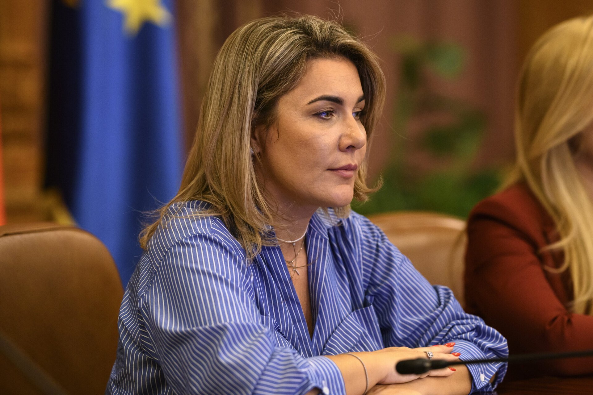 Cerere de demisie pentru oana țoiu, ministrul de externe