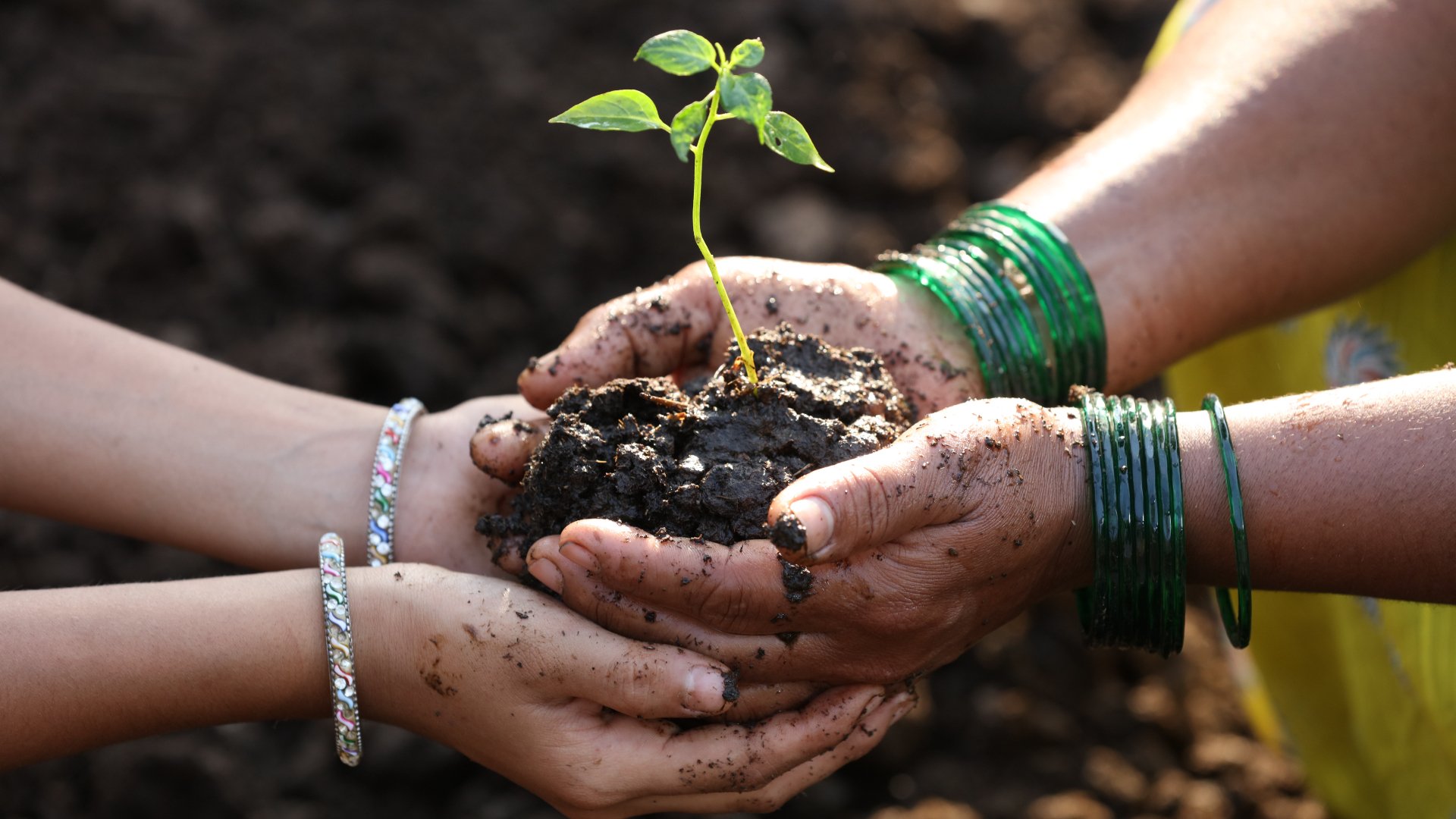 Comisia Europeană lansează o platformă pentru a promova femeile în agricultură Comisia Europeană (CE) a lansat o platformă dedicată promovării femeilor în agricultură, cu scopul de a sprijini egalitatea de șanse în comunitățile rurale din Uniunea Europeană