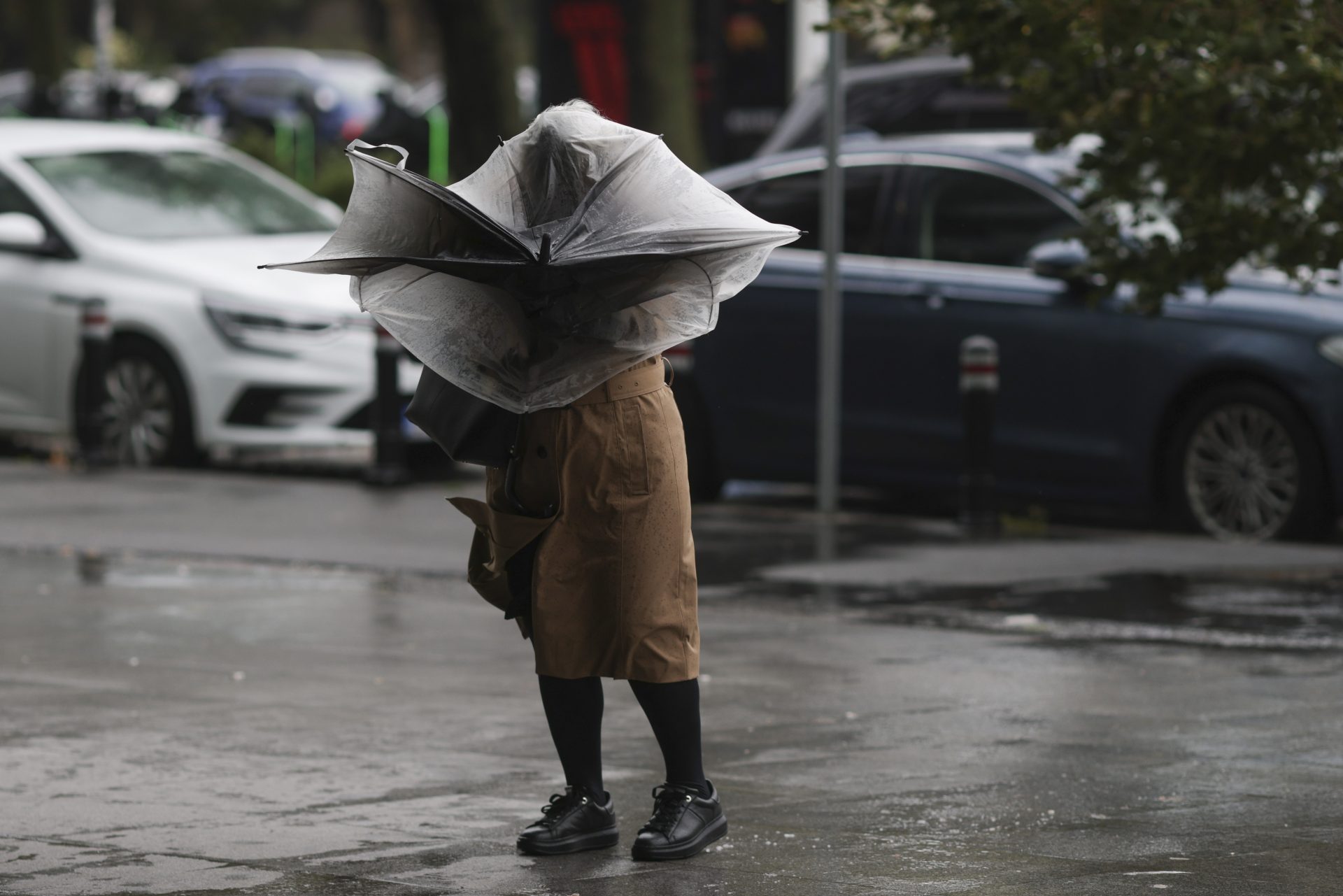 Furtuni cumplite și viscol: România, lovită de trei coduri meteo!