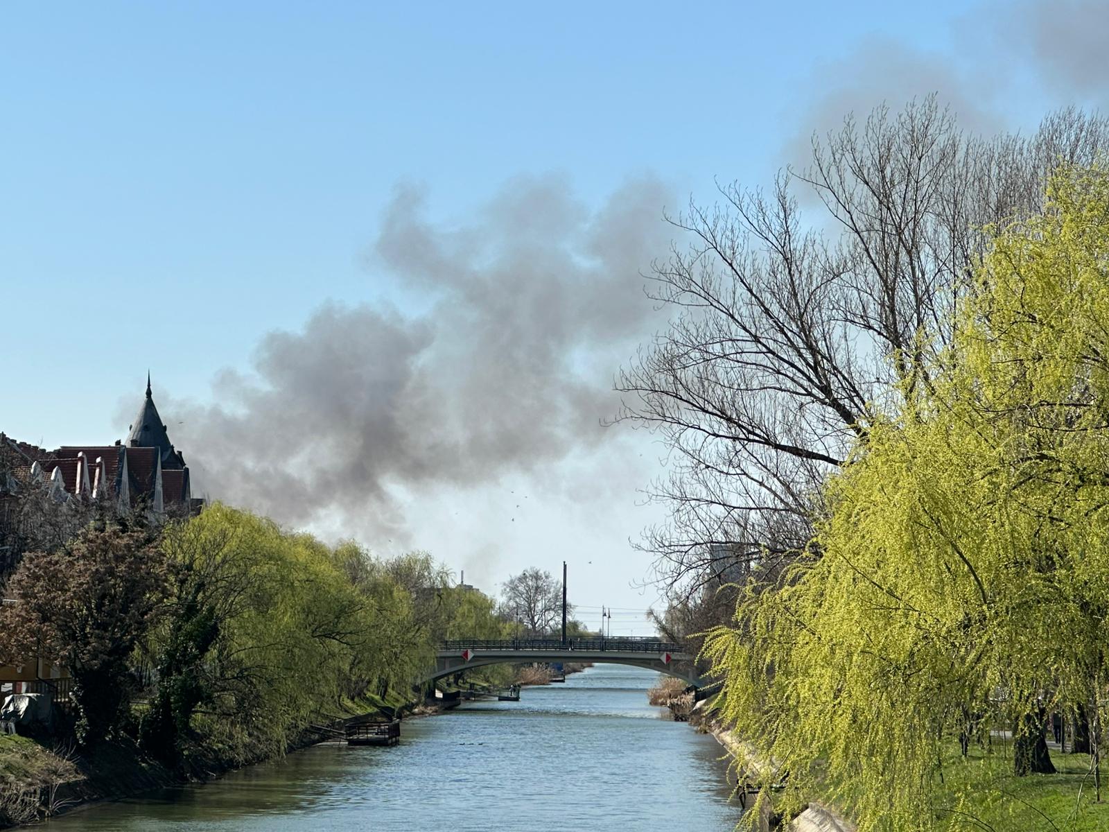 Incendiu în Freidorf: Pompierii intervin pentru stingerea focului Timișoara – Miercuri, pompierii din Timișoara intervin pentru a stinge un incendiu izbucnit în zona Freidorf, în apropierea Liceului Tehnologic Transporturi Auto