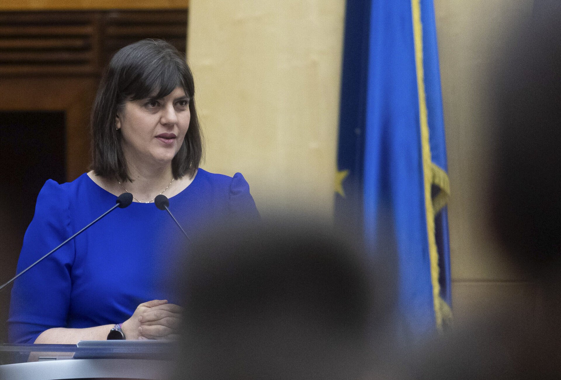 Kovesi, premiată în Germania pentru apărarea democrației, donează banii Ucrainei Laura Codruța Kovesi, șefa Parchetului European, a fost distinsă marți cu Premiul Robert Blum pentru Democrație în cadrul unei ceremonii desfășurate la Leipzig, în Germania
