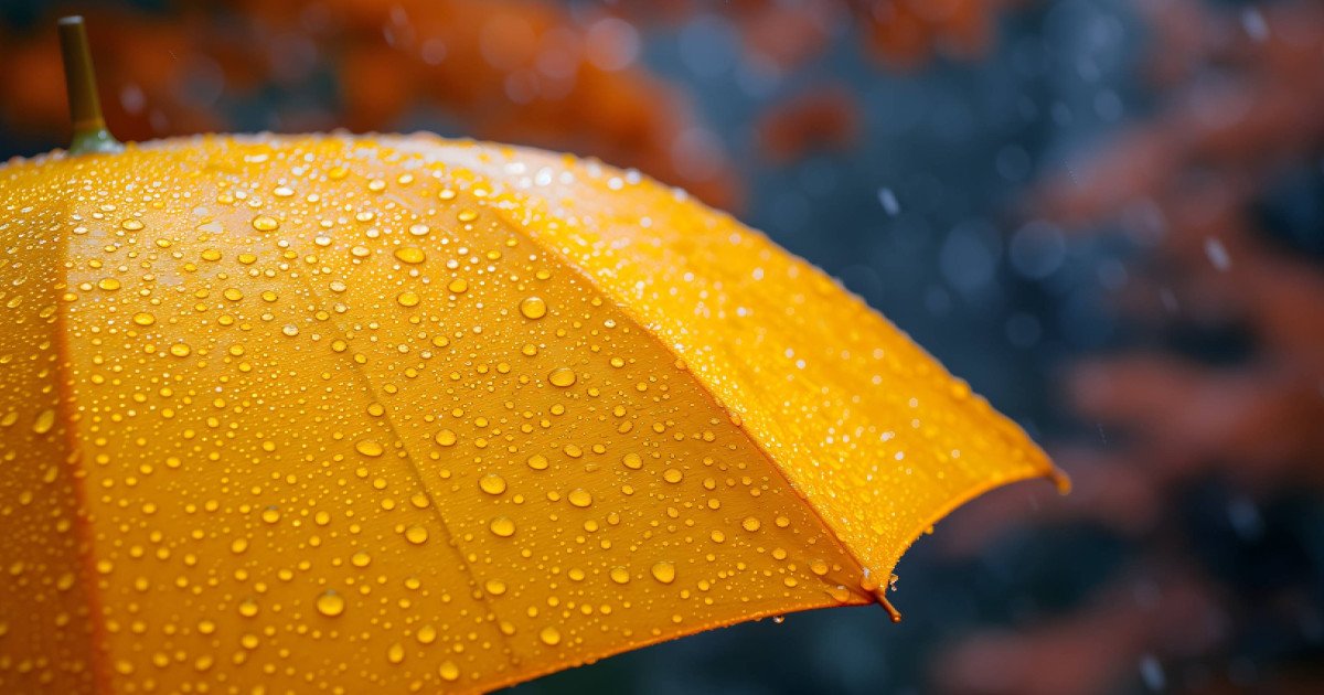 Vremea de primăvară: Meteorologii anunță un aprilie cu ploi, dar și contraste regionale Bucureștiul și majoritatea zonelor din țară se vor bucura de o vreme în limite normale pentru această perioadă, până la finalul lunii aprilie, conform prognozei meteo
